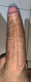 Acompanhante Tsouro Gigante