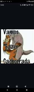 Acompanhante Lucas