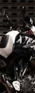 Acompanhante Fernandes Zs
