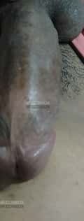 Acompanhante Seuprazer