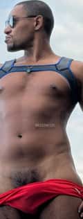 Acompanhante Renato