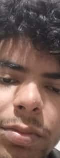 Acompanhante Ellie