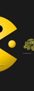 Acompanhante Pacman