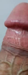 Acompanhante Cogumelo