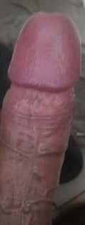 Acompanhante Baianinho