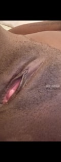 Acompanhante Jojo