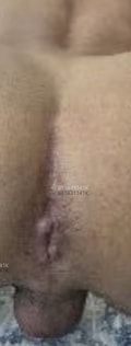 Acompanhante Dominic Pierry