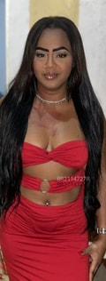 Acompanhante Lola