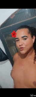 Acompanhante Mamífero