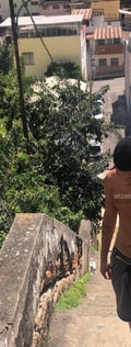 Acompanhante Gigante
