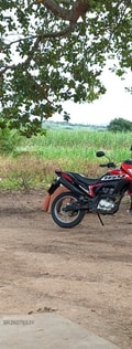 Acompanhante Daniel