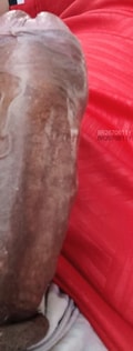 Acompanhante Pretingostoso