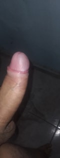 Acompanhante Arroz