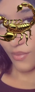 Acompanhante Kloe Oliveira