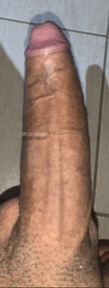 Acompanhante Tsouro Gigante