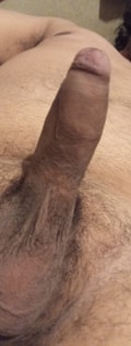 Acompanhante Lion