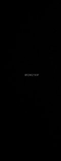 Acompanhante Bela