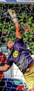 Acompanhante Robgool