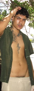 Acompanhante Diniz