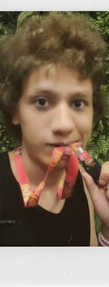 Acompanhante Lim Artista