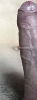 Acompanhante Lobãooo