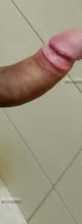 Acompanhante Gustavo