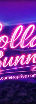 Acompanhante Lolla Bunny