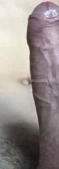 Acompanhante Lobãooo