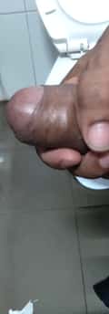 Acompanhante Baiano