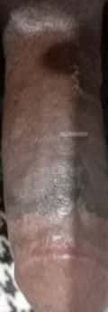 Acompanhante Pires