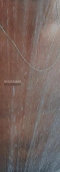 Acompanhante Discretasso