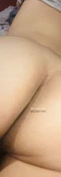 Acompanhante Paulox