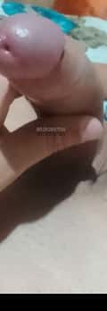 Acompanhante Vinigp
