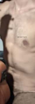 Acompanhante Grisalho