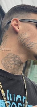 Acompanhante Tatuadodotado