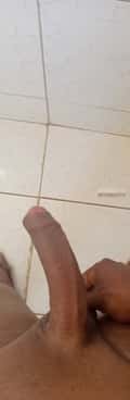 Acompanhante Carlos Preto