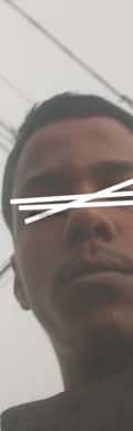 Acompanhante Pretin
