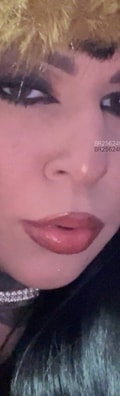 Acompanhante Lauren
