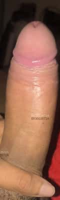 Acompanhante Bruna Thayra
