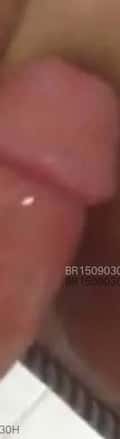 Acompanhante Baiano