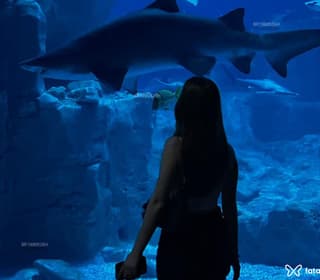 Acompanhante em Rio de Janeiro-RJ - Liz Moreira
