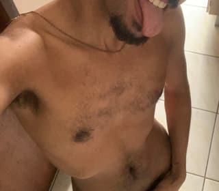 Acompanhante em Rio de Janeiro-RJ - Pauzudocavalo