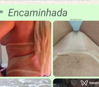 Acompanhante em Maringá-PR - Abelly