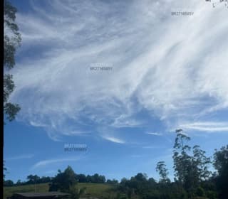 Acompanhante em Chapecó-SC - Manfre