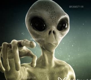 Acompanhante em Uberlândia-MG - Alienn