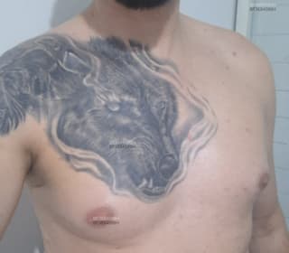 Acompanhante em Novo Hamburgo-RS - Fernando