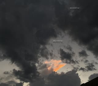 Acompanhante em Anápolis-GO - Morfeu