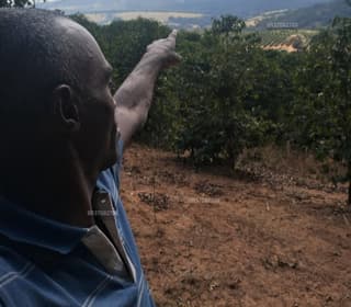 Acompanhante em Varginha-MG - Márcio Costa