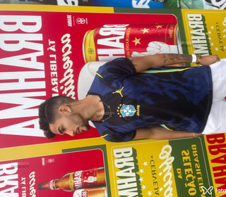 Acompanhante Brayn