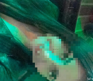 Acompanhante Camila Araújo
